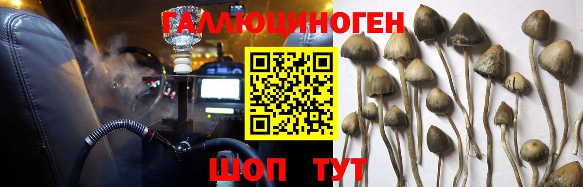 Галлюциногенные грибы мухоморы Ейск